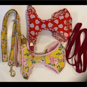 2 harnesses and 2 Leashes